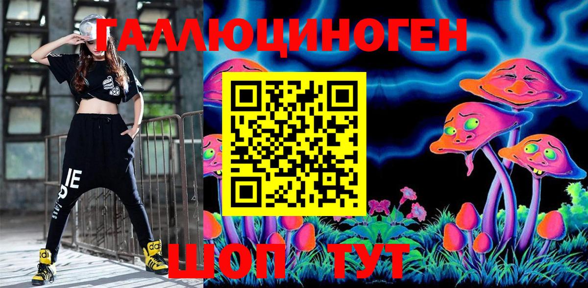 Черногорск  Псилоцибиновые грибы Magic Shrooms  Вход с VPN 