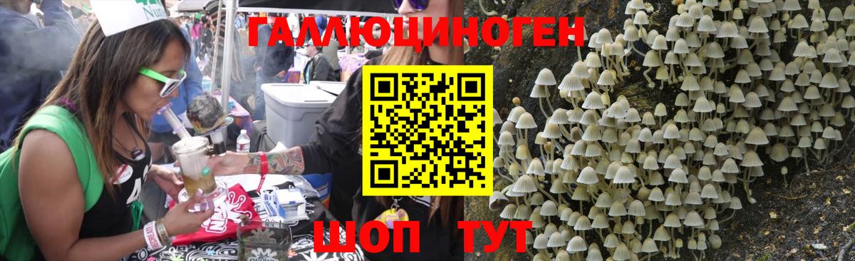 Псилоцибиновые грибы GOLDEN TEACHER Черногорск